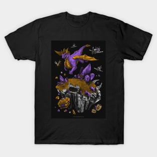 Sunny Flight T-Shirt